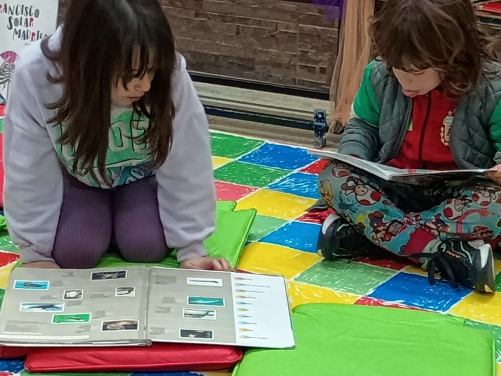 whatsapp image 2025 07 31 at 15.14.21 (1)