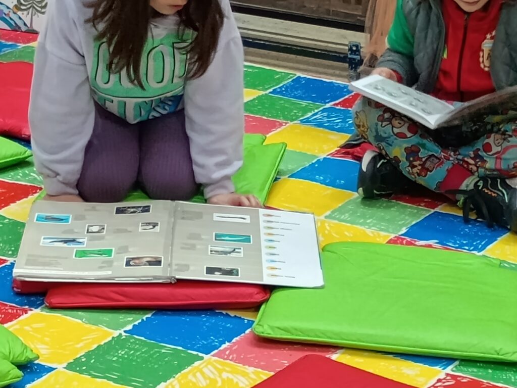 whatsapp image 2025 07 31 at 15.14.21