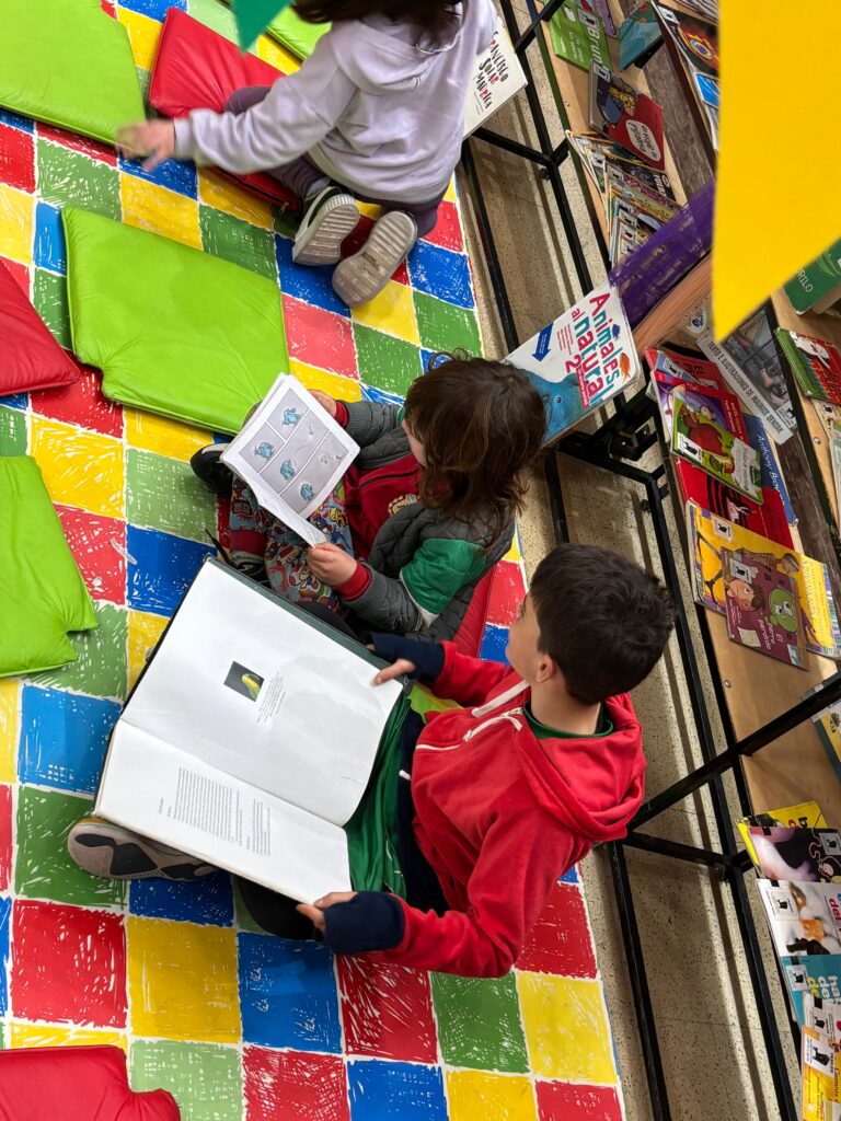 whatsapp image 2025 07 31 at 15.15.39 (8)