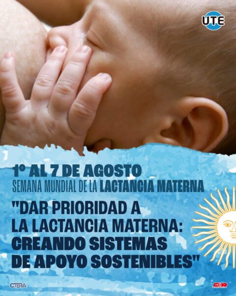 whatsapp image 2025 08 01 at 11.22.26