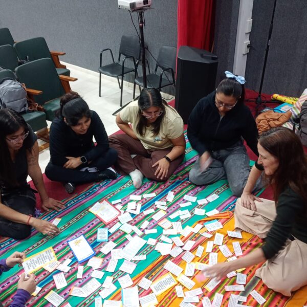 whatsapp image 2025 11 18 at 16.48.52