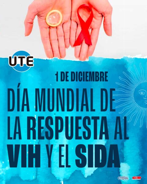 whatsapp image 2025 12 01 at 09.00.49