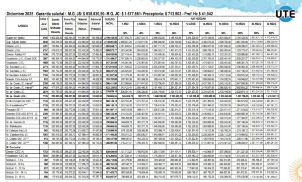 whatsapp image 2025 12 17 at 16.57.55