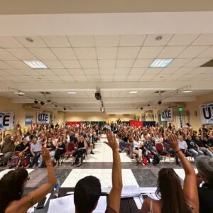 whatsapp image 2026 02 18 at 23.25.41